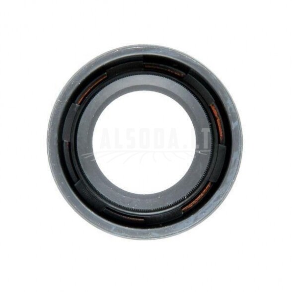 Veleno riebokšlis 17x30x6mm