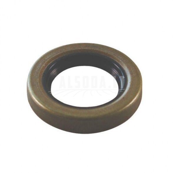 Veleno riebokšlis 3760 B1 25×40 Veleno riebokšlis 3760 B1 25×40