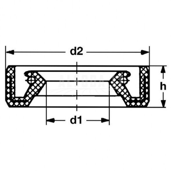 Veleno riebokšlis 55x72x10 2