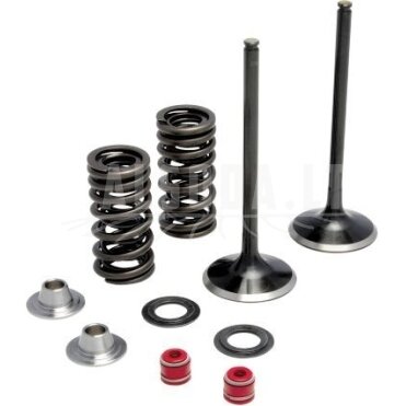 Vožtuvų rinkinys Yamaha 450 0926-2459