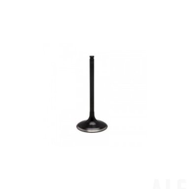 Vožtuvas INTAKE VALVE XU-09548I