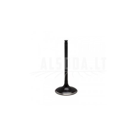 Vožtuvas INTAKE VALVE XU-09548I Vožtuvas INTAKE VALVE XU-09548I