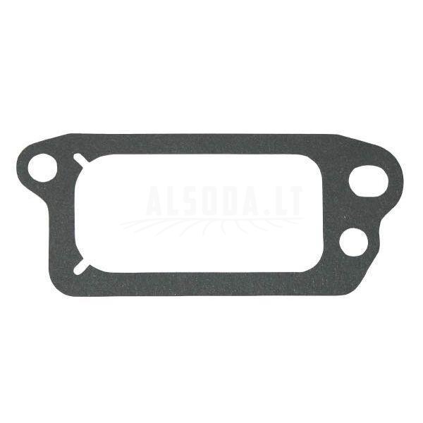 Vožtuvo dangtelio tarpinė Briggs&Stratton 699833